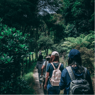 A group of women walking on a trail surrounded by nature.