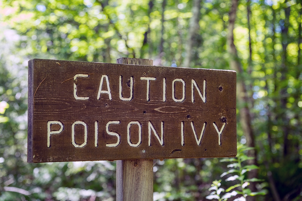 Caution:Poison Ivy Sign.