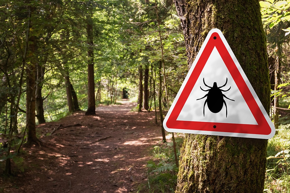 Infected ticks warning sign along a trail in a forest.