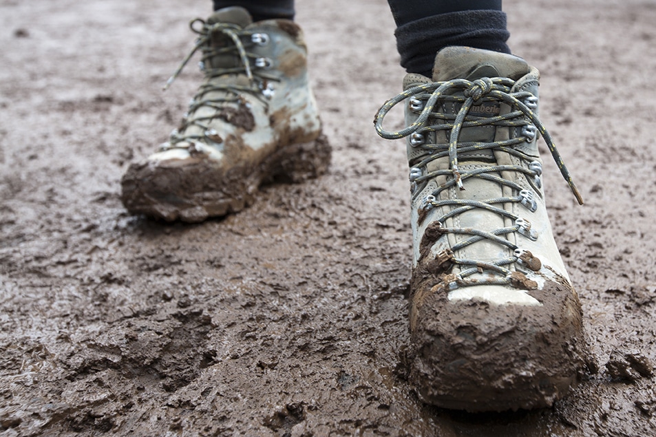 A hiker wears muddy boots on a muddy trail.